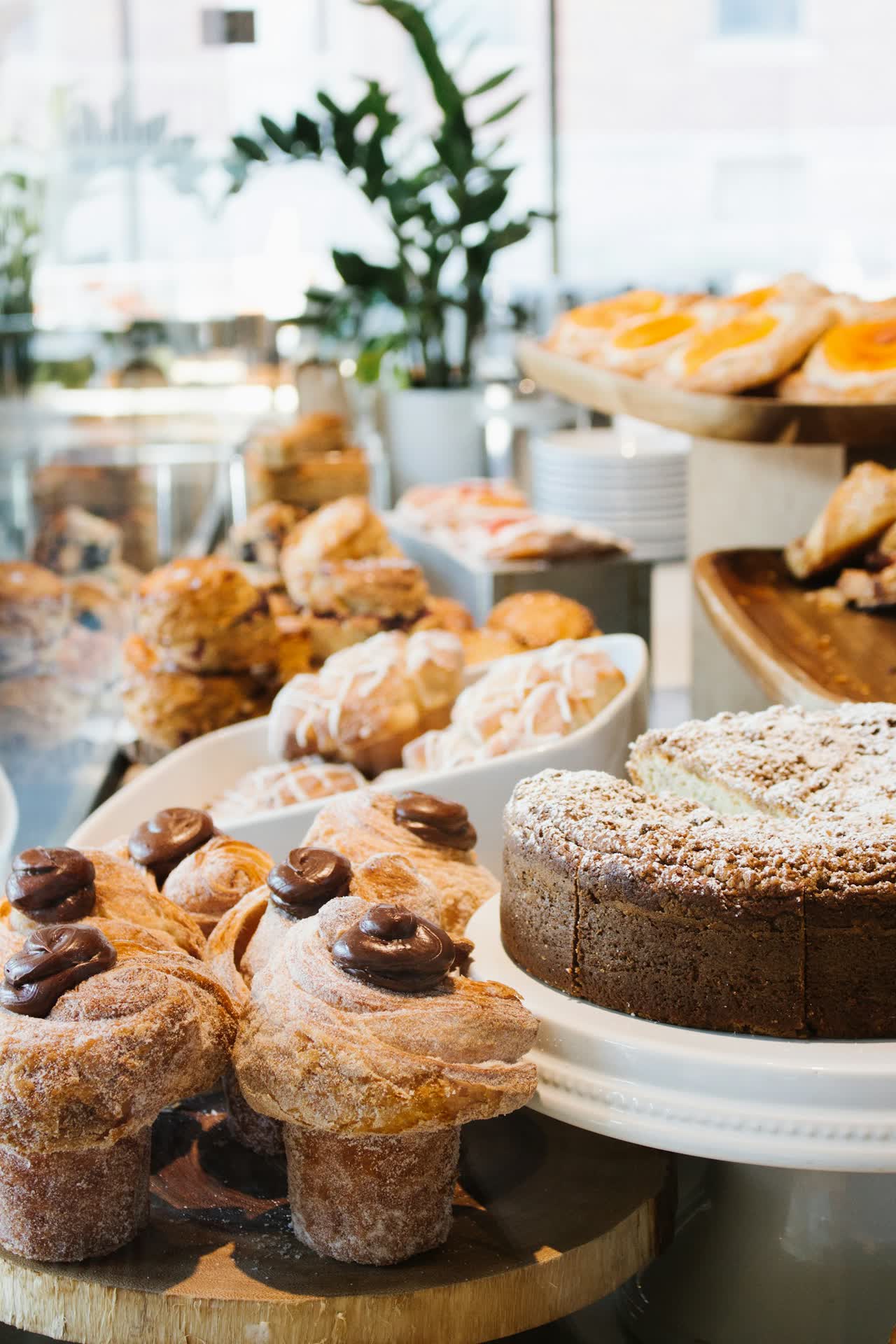 Kuchen & Tartes